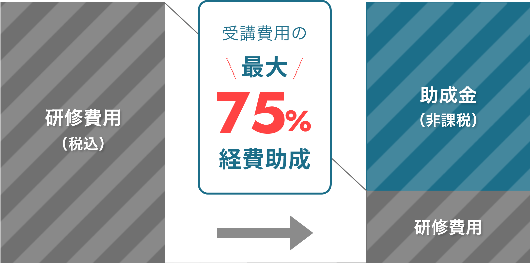 受講費用の最大75%経費助成