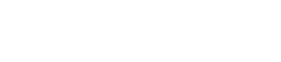 プロフェッショナルAIリスキング訓練プログラム